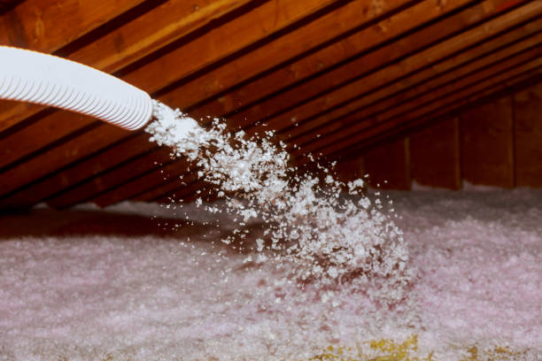 Best Insulation for Specific Applications in Orlando, FL