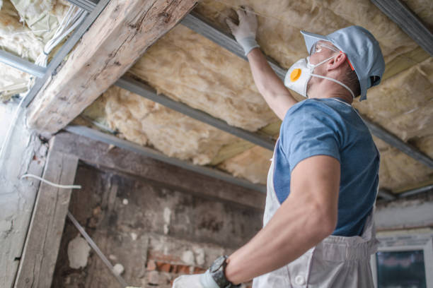 Best Insulation for Specific Applications in Orlando, FL