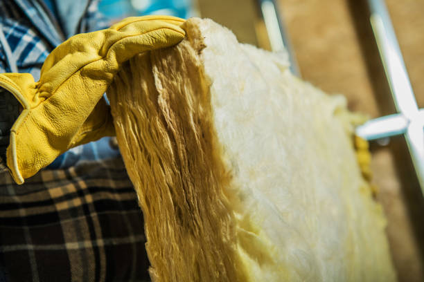Best Insulation Materials and Products in Orlando, FL