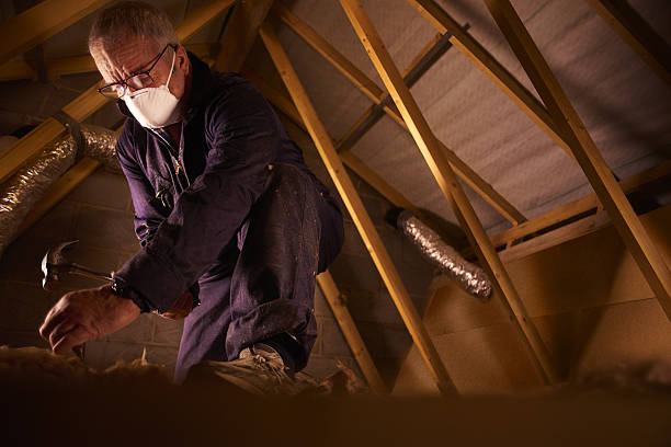 Best Specialty Insulation in Orlando, FL